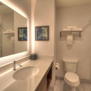 Suite Mobility Access Roll Shower or Non-Smoking